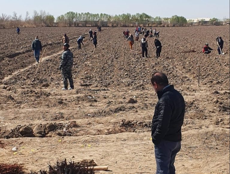 WhatsApp Image 2022-11-21 at 16.12.10