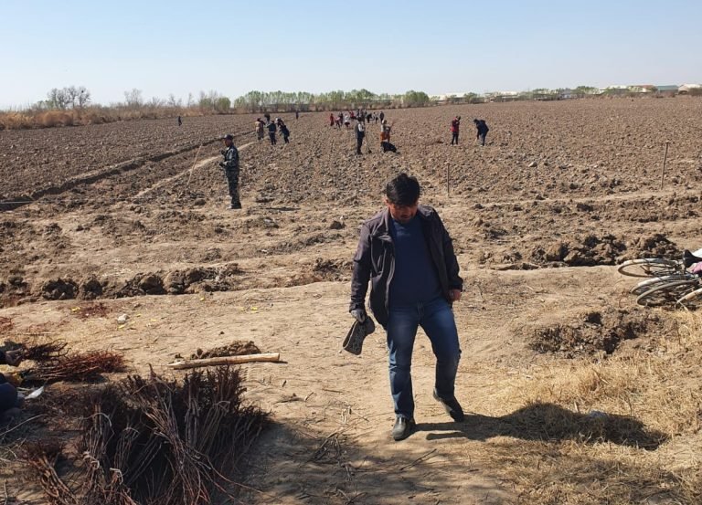 WhatsApp Image 2022-11-21 at 16.12.11